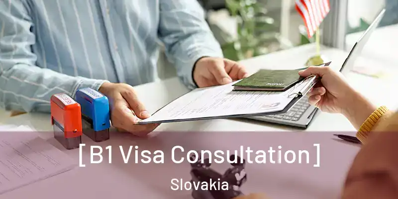  [B1 Visa Consultation] Slovakia